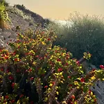 Ocean Mountain דירה
